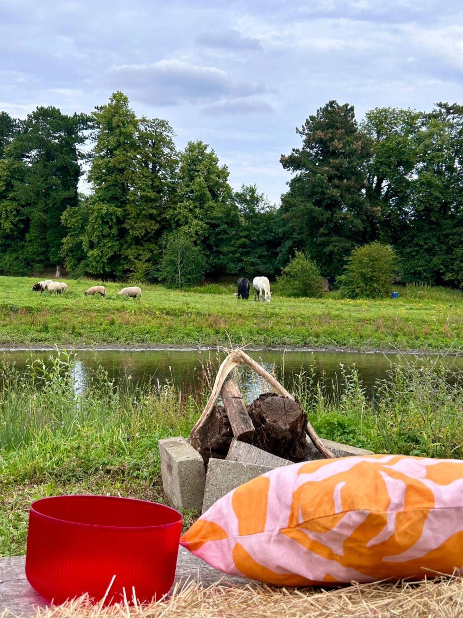 Farm Riverside Firepit Bbq Campsite Hertford